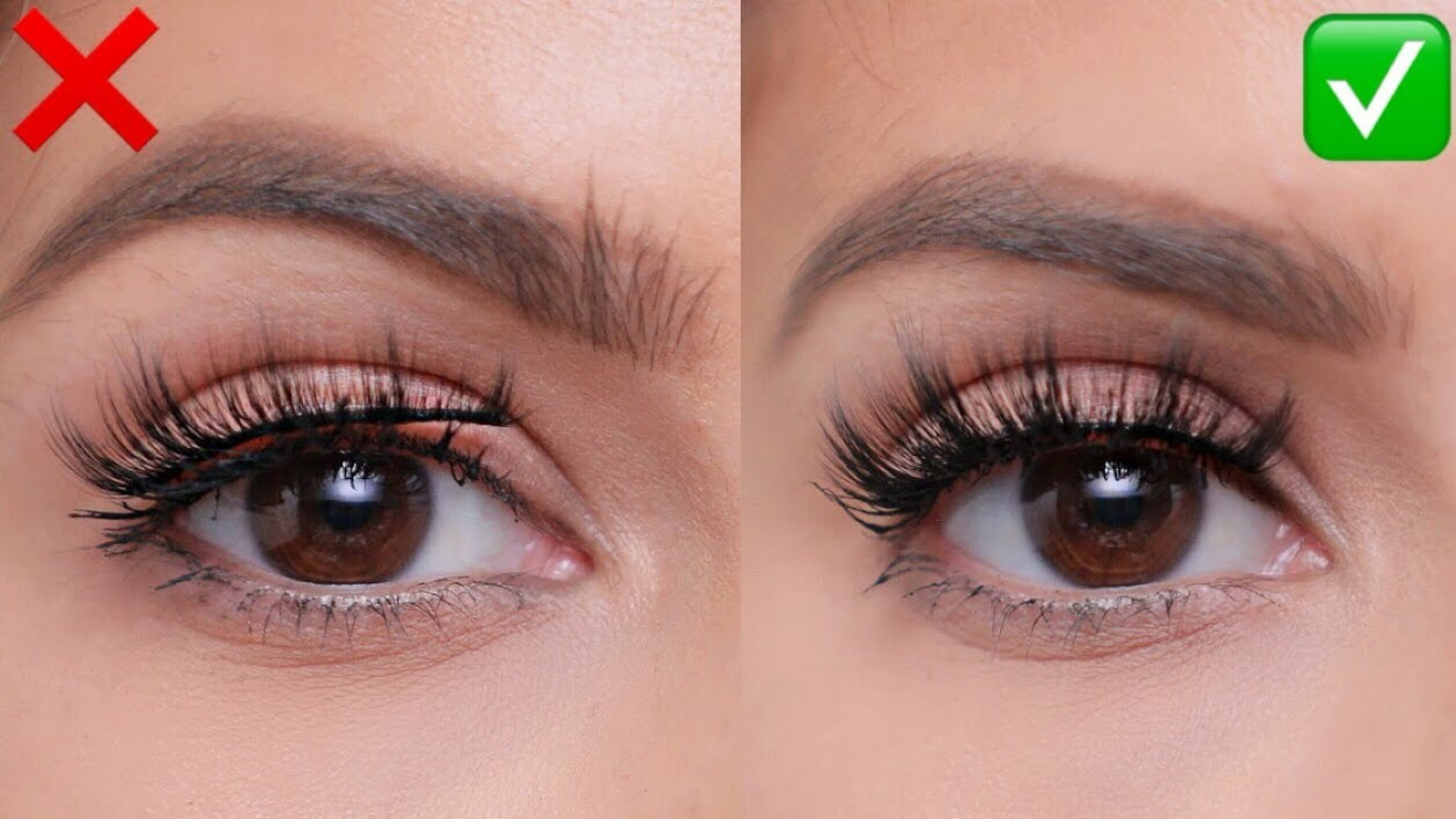 What are the WirelessCam System Pro's Salient Characteristics?